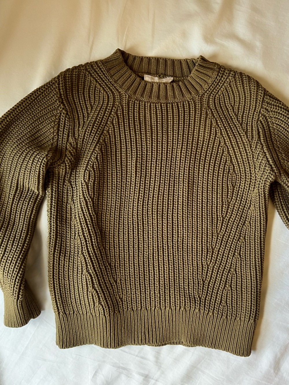 Everlane Texture Crew Knit Sweater in Olive
